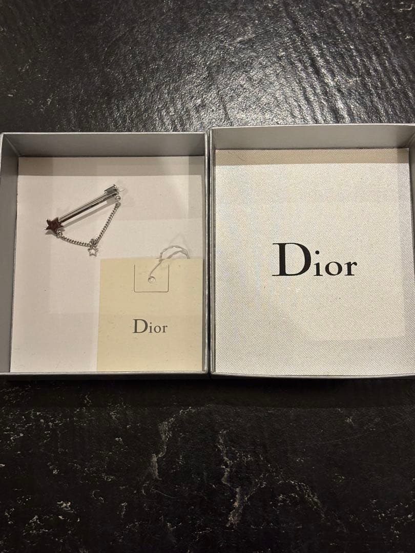 ディオールオム エディスリマン 2006AW シューティングスターピンブローチ