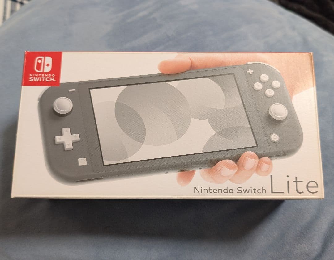 【美品】Nintendo Switch Lite グレー 専用ケース付き