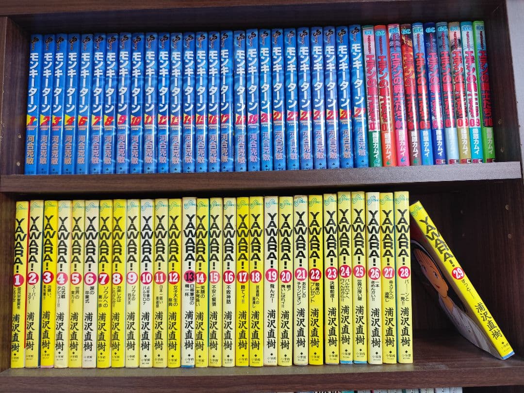 モンキーターン、エデンの戦士たち、YAWARA、天上天下、スプリガンなど