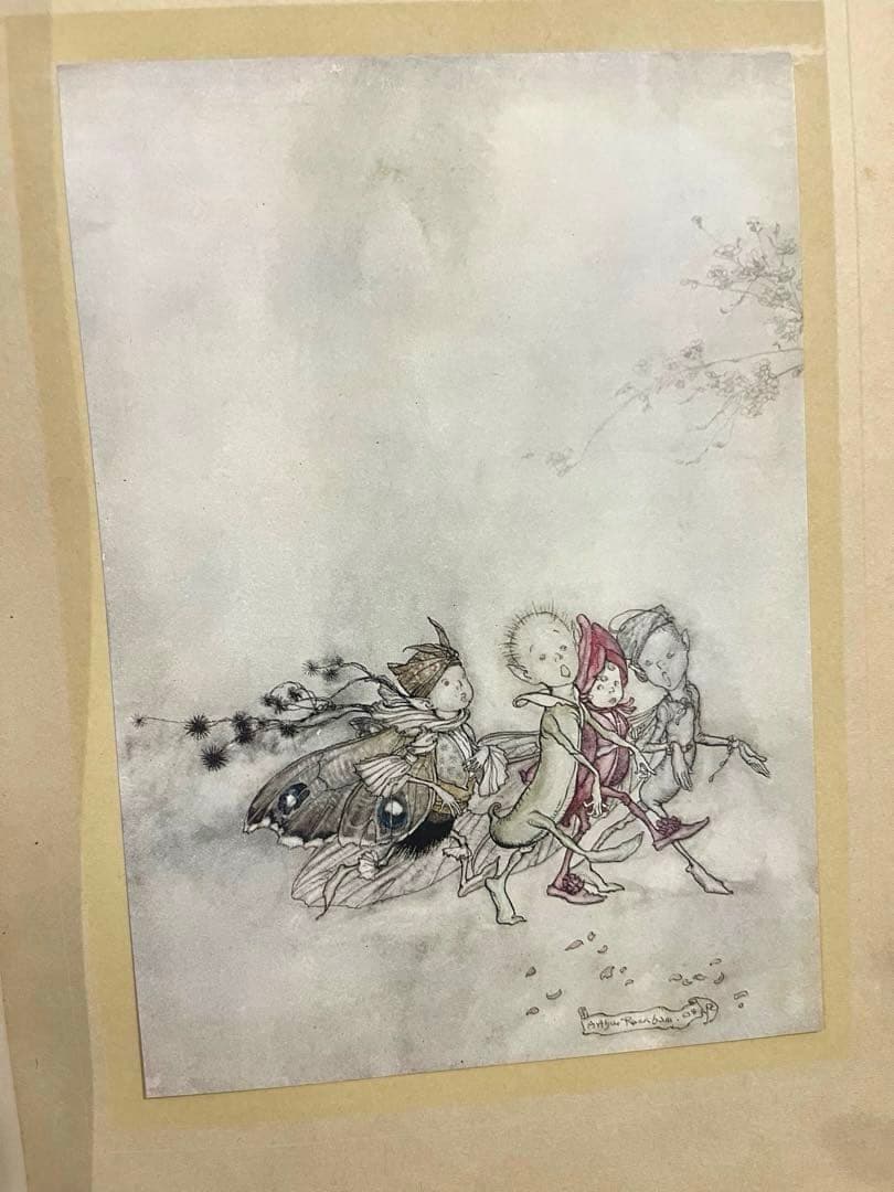 No.305アンティーク洋書 古書　アーサー·ラッカム　真夏の夜の夢　妖精