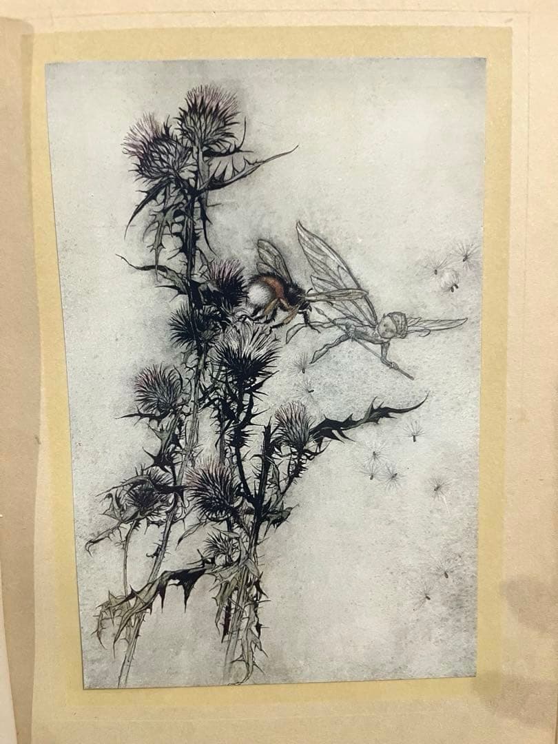 No.305アンティーク洋書 古書　アーサー·ラッカム　真夏の夜の夢　妖精