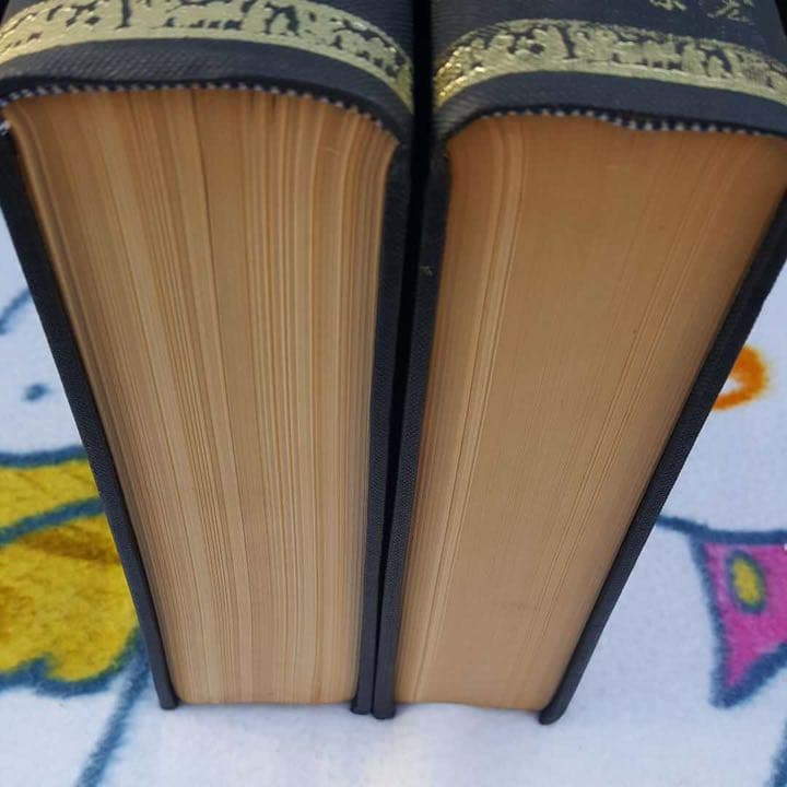 金唐詩 上下セット 宏業書局