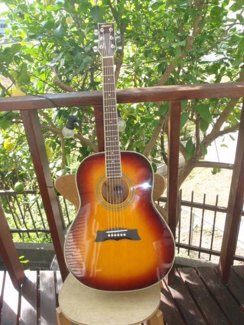 Morrisモーリス MG-301BRS　程度良い　よく鳴る