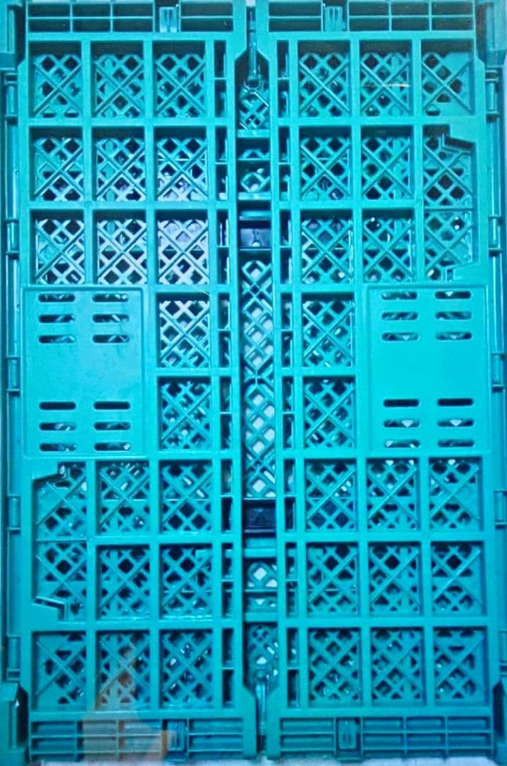 折りたたみ　コンテナ　オレコン　オリコン　×10枚