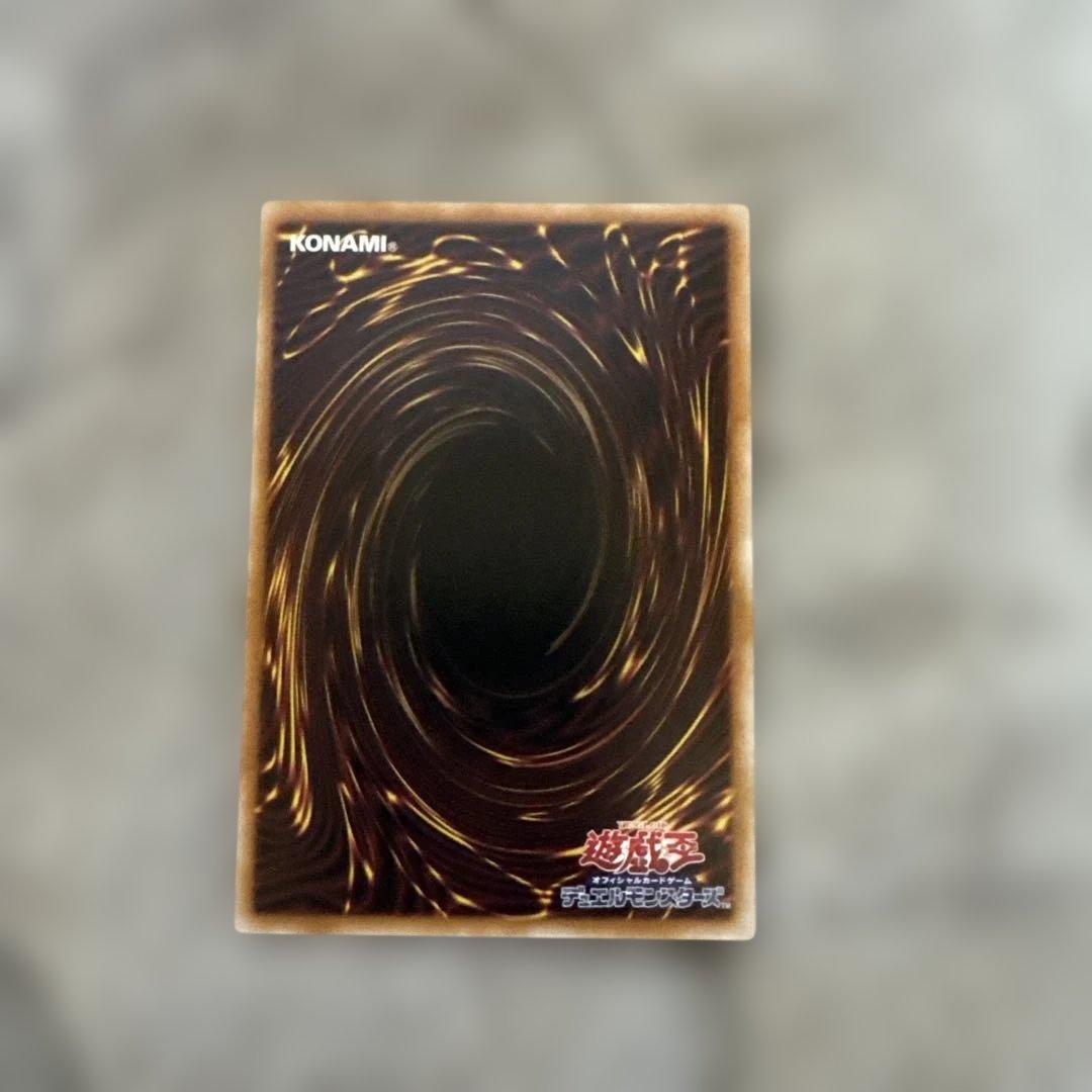 遊戯王 The Fallen & The Virtuous プリシク ローダー付