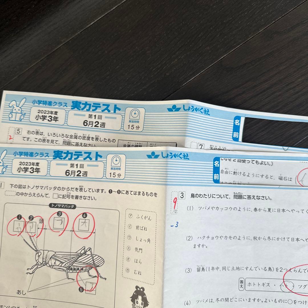 奨学社　小3 理科　1年分　しょうがく社　リビューテスト　実力テスト