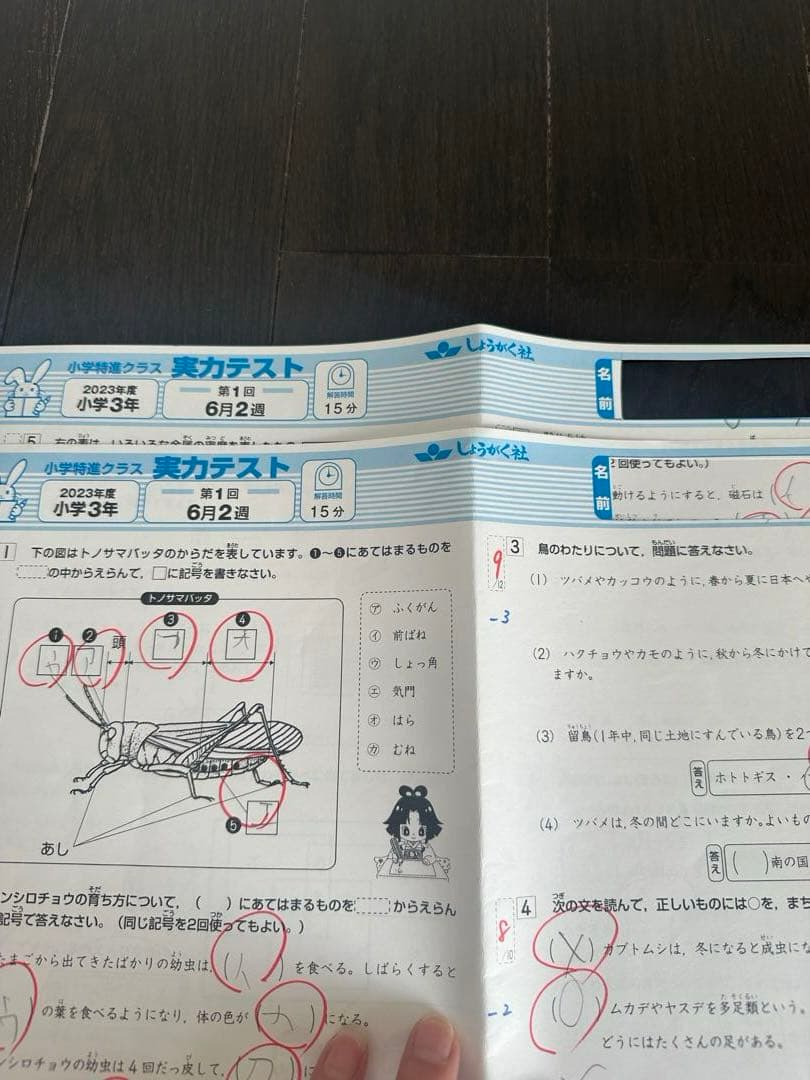奨学社　小3 理科　1年分　しょうがく社　リビューテスト　実力テスト