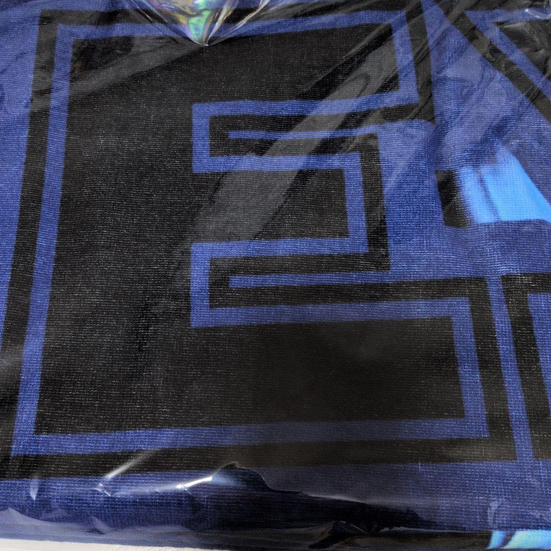 ★矢沢永吉★スペシャルビ―チタオル★2025東京ド―厶限定品★新品未開封品