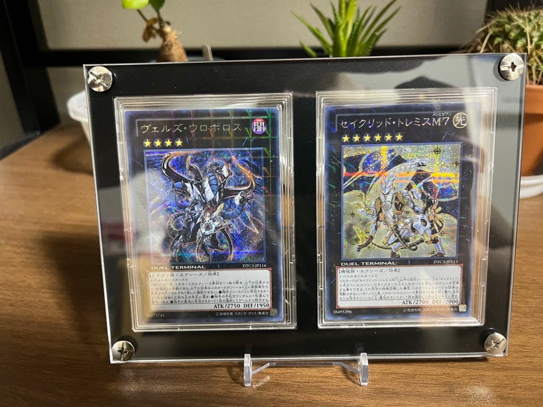 あ*ん様 遊戯王　DTCクロニクルシークレットウロボロス&トレミス