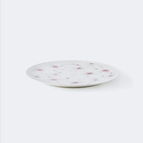 BTS 紅梅 廣州窯 クァンジュヨ KwangJuYo 平皿22cm