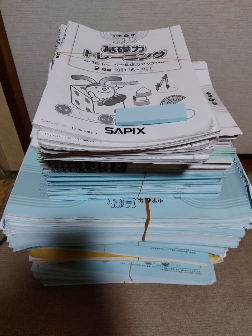 2024年度 サピックス 小学6年