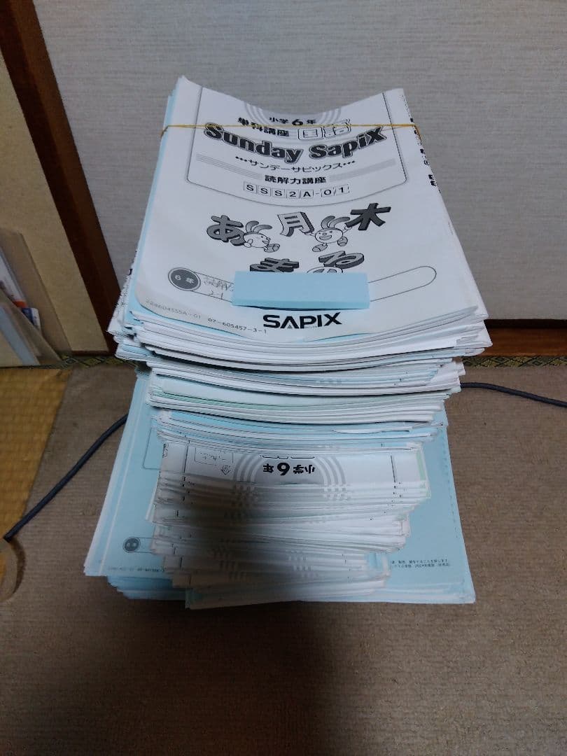 2024年度 サピックス 小学6年