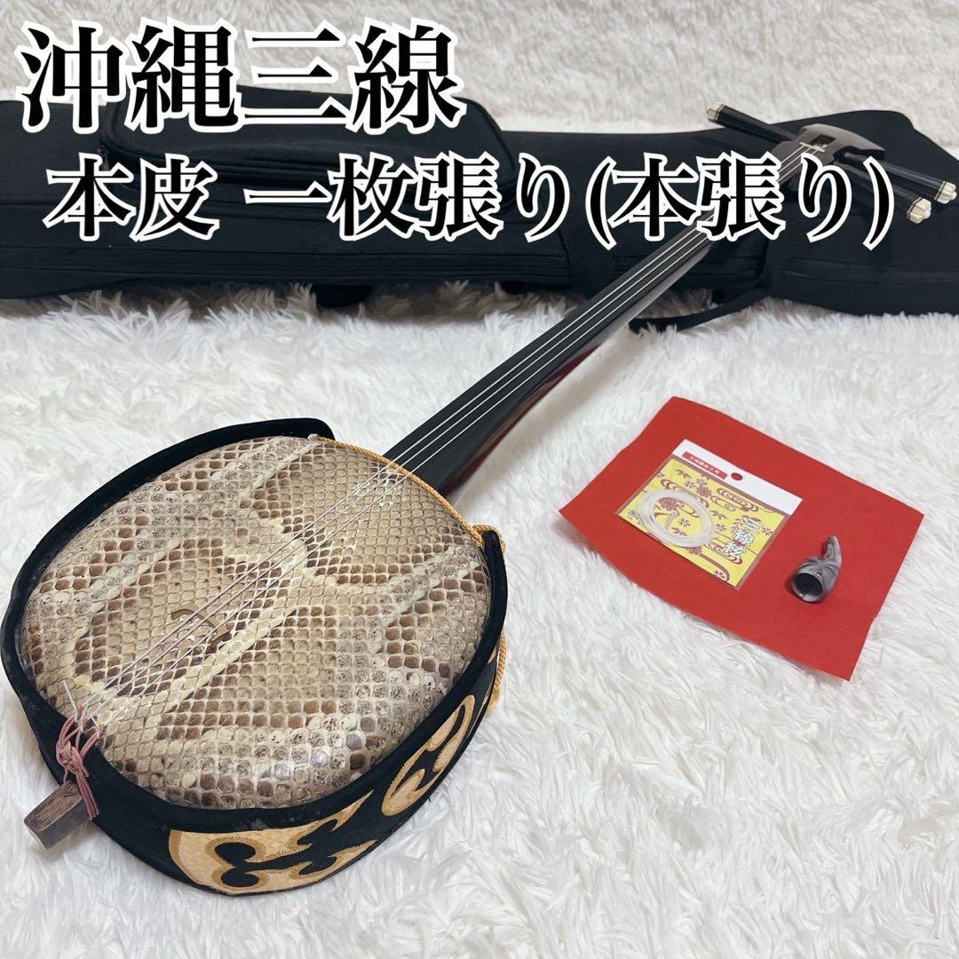沖縄三線 本皮 一枚張り 本張り ソフトケース、爪、弦セット