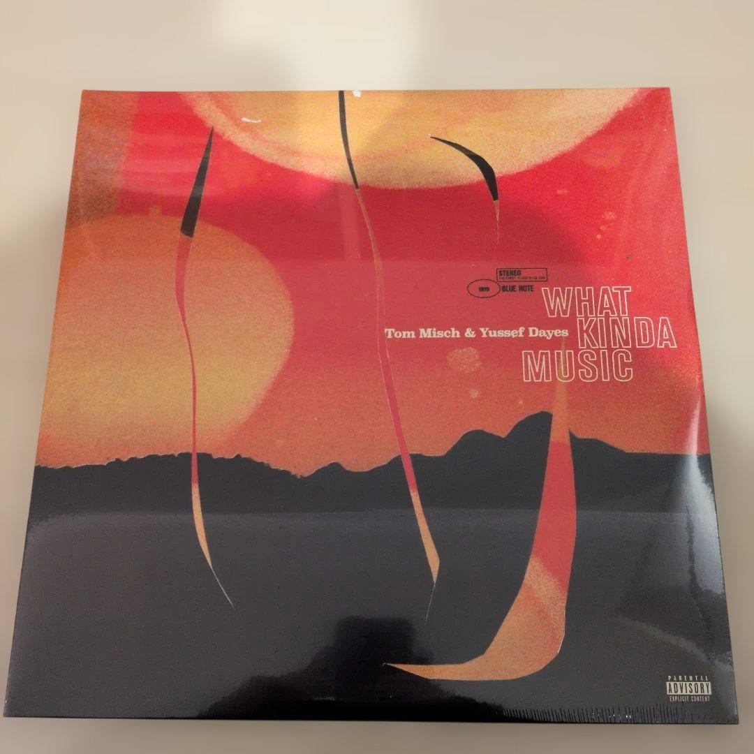 【LP】WHAT KINDA MUSIC / Tom Misch