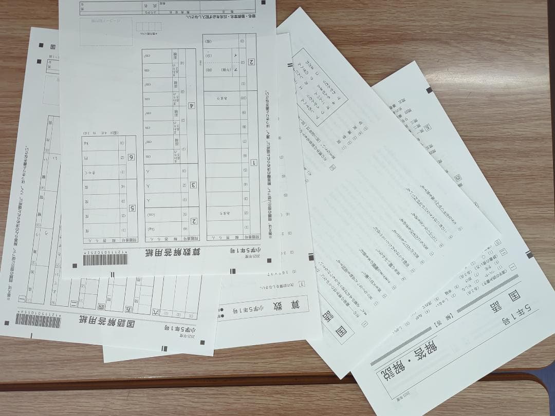 在庫ラスト!セール! 進研テスト 2025年度 5年 1号 進学研究会