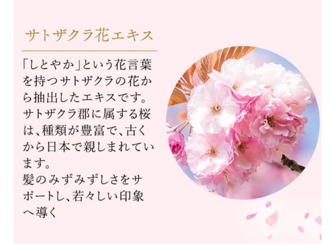 ラブコスメ　LCラブコスメ　ナデテ　サクラ　桜　大容量　ヘアオイル　ヘアケア