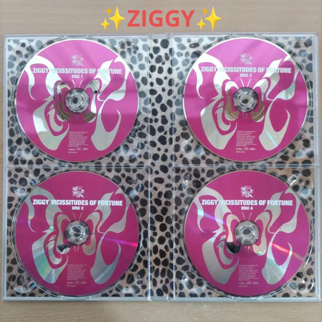 ZIGGY　ジギー　ヴィシセチュード・オヴ・フォーチュン