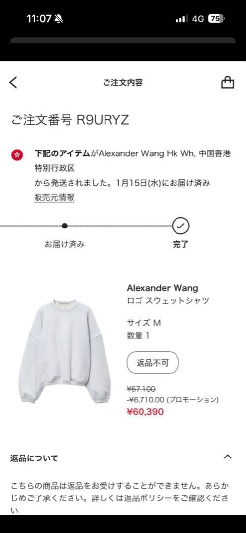 Alexander Wang ロゴスウェットシャツ トレーナー 登坂広臣 ØMI