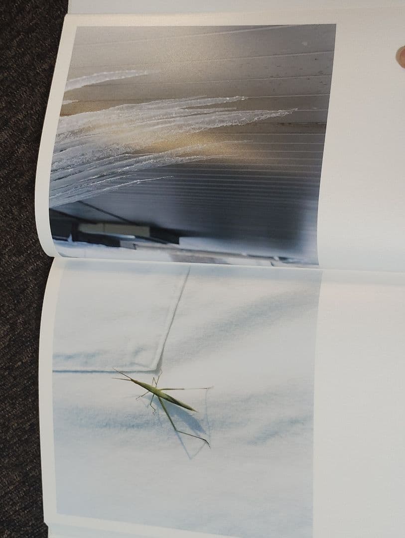 アート・デザイン・音楽 AILA Rinko Kawauchi LITTLE MORE