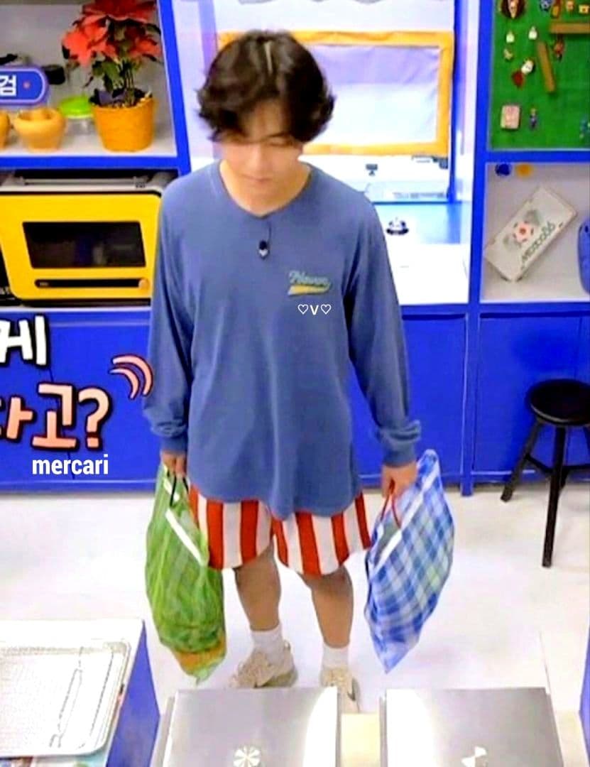 BTS ぬいぐるみ 10cm テテ テヒョンＶ ユンギ ジン ジミン ジョングク