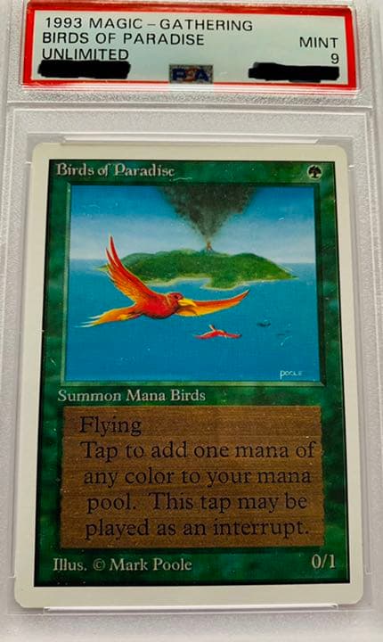 極楽鳥 アンミリテッドunlimited版 MTG PSA鑑定9