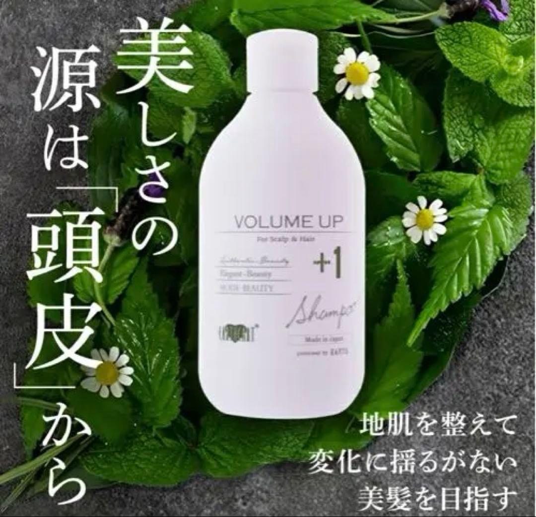 アースハート ボリュームアップ シャンプー (300ml) 4本