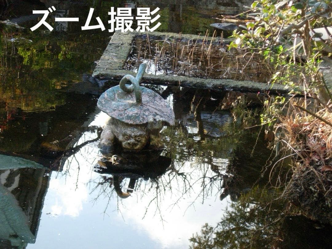 実写美⭕️美品【動作確認済】Nikon COOLPIX 5200 ブルー