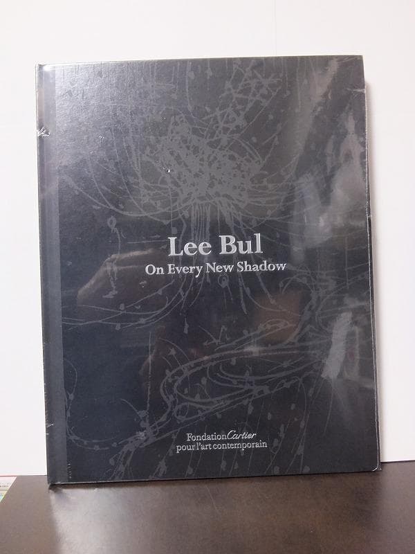イ・ブル LEE BUL:ON EVERY NEW SHADOW /未開封洋書!