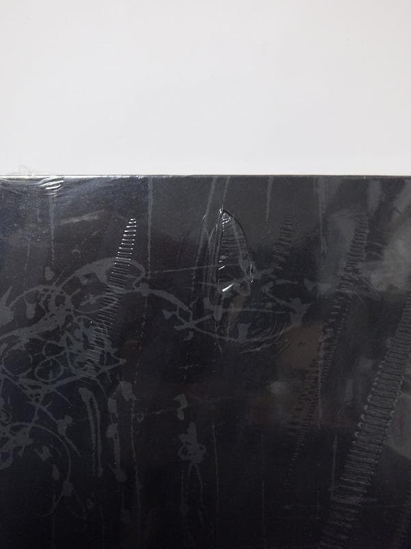 イ・ブル LEE BUL:ON EVERY NEW SHADOW /未開封洋書!