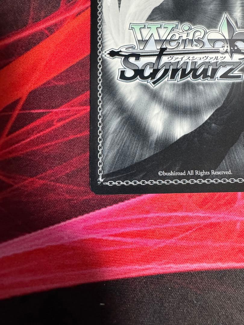 夏の思い出　鴎　SP ヴァイスシュヴァルツ