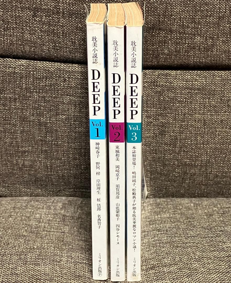 小説誌 DEEP ディープ 3冊セット