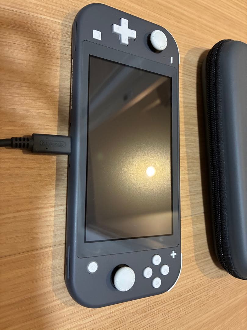 Nintendo Switch Lite グレー 本体とソフト付き
