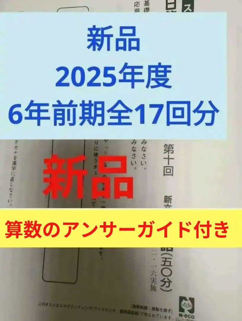 新品　2025年度　日能研　6年生前期　学習力育成テスト　全17回分