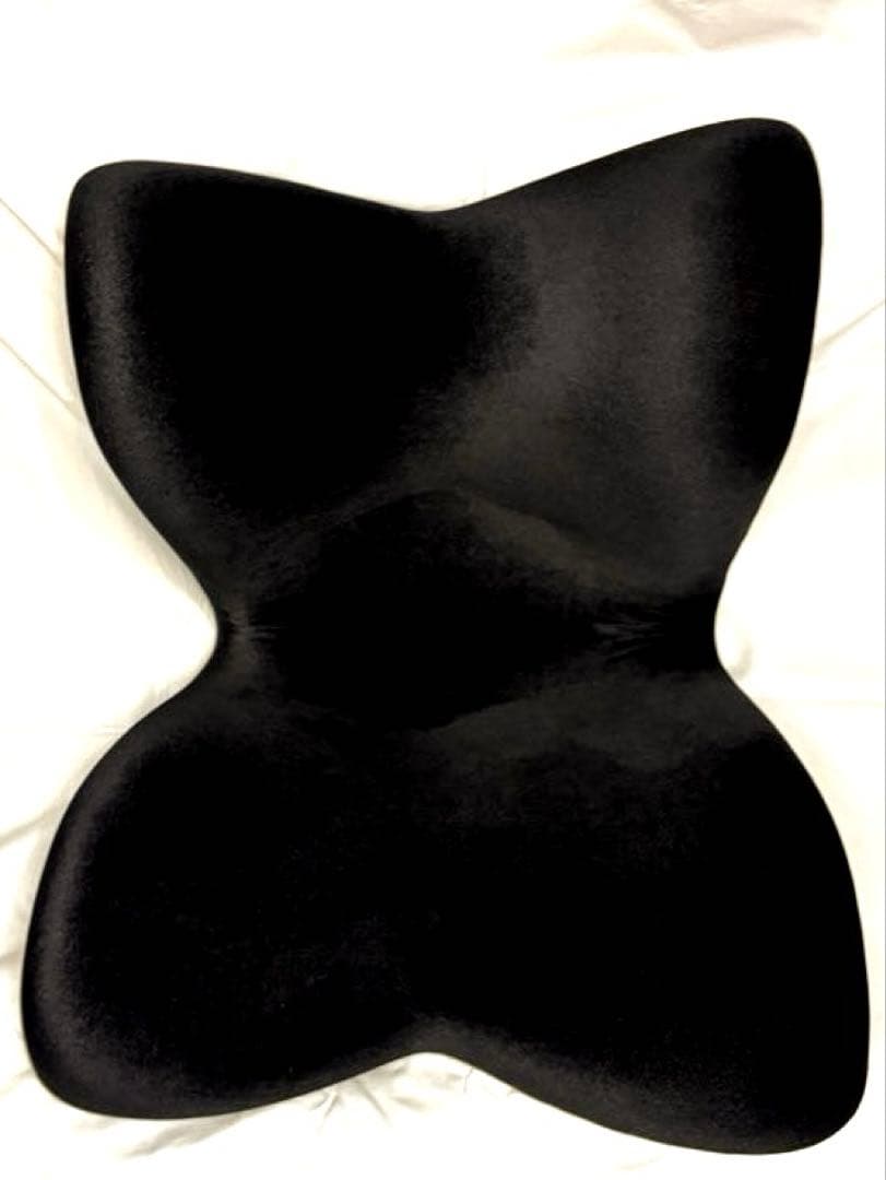 骨盤姿勢矯正クッション　スタイルプレミアム+デラックス