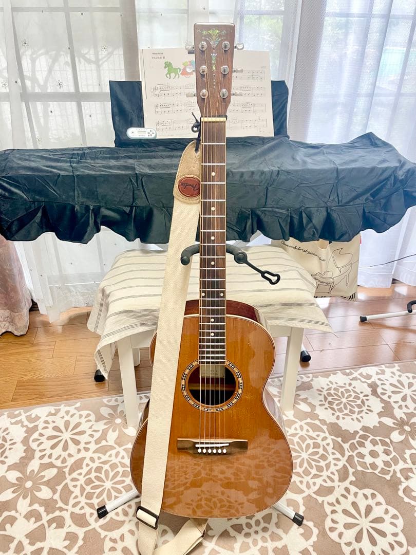 アコースティックギター　ARIA ADL-01 N GOTOHぺグ