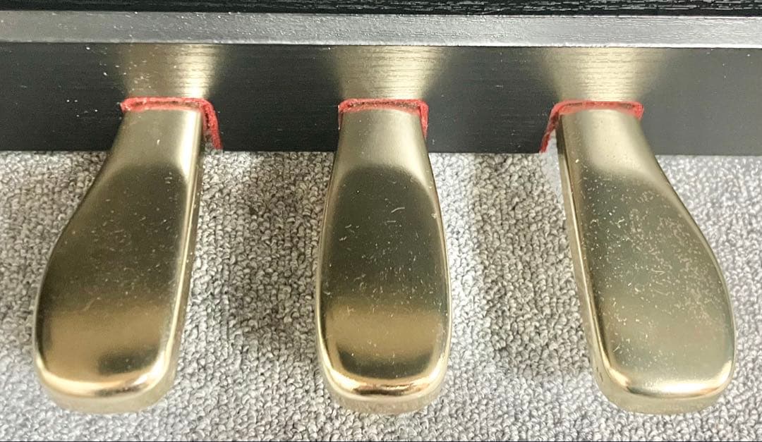 よ*け様 CASIO 電子ピアノ AP-450BK【無料配送可能】