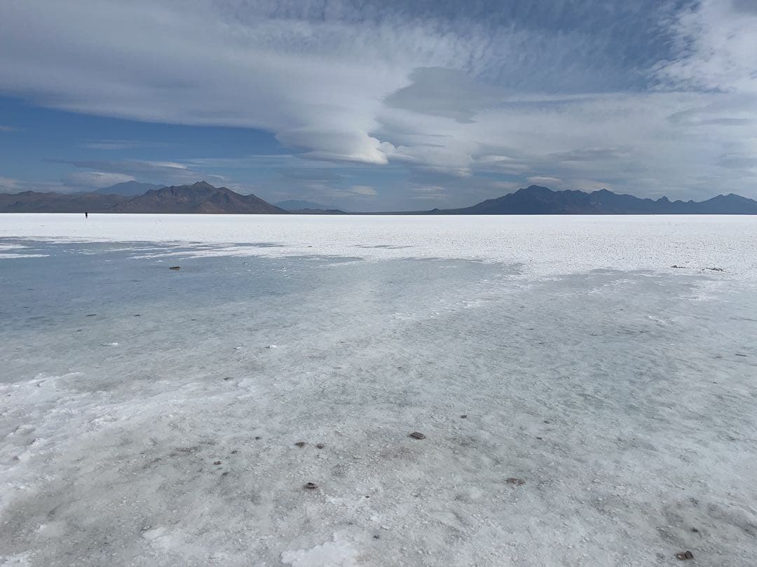 さくらんぼ　ニュースキン製品