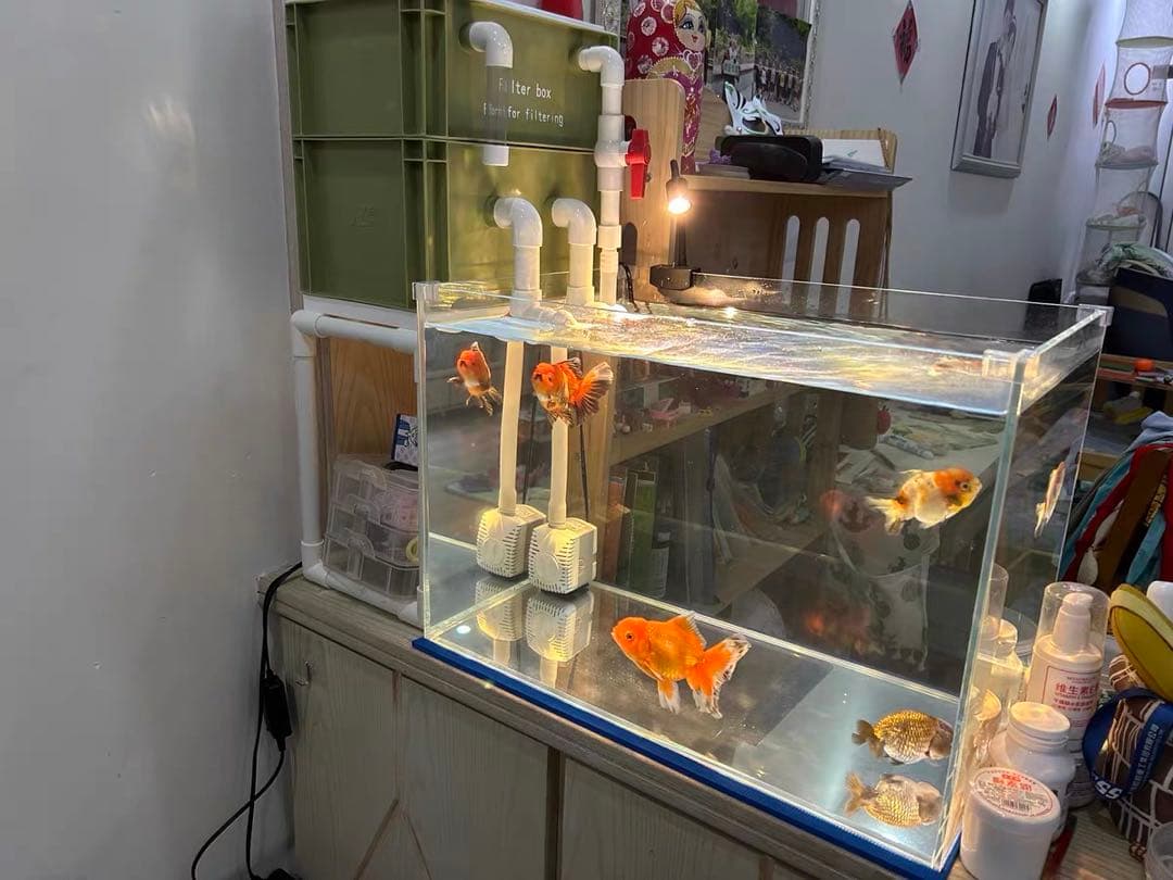 水中ポンプお任せ濾過材付きフルセット 水槽池用濾過器フィルター到着すぐ使える状態