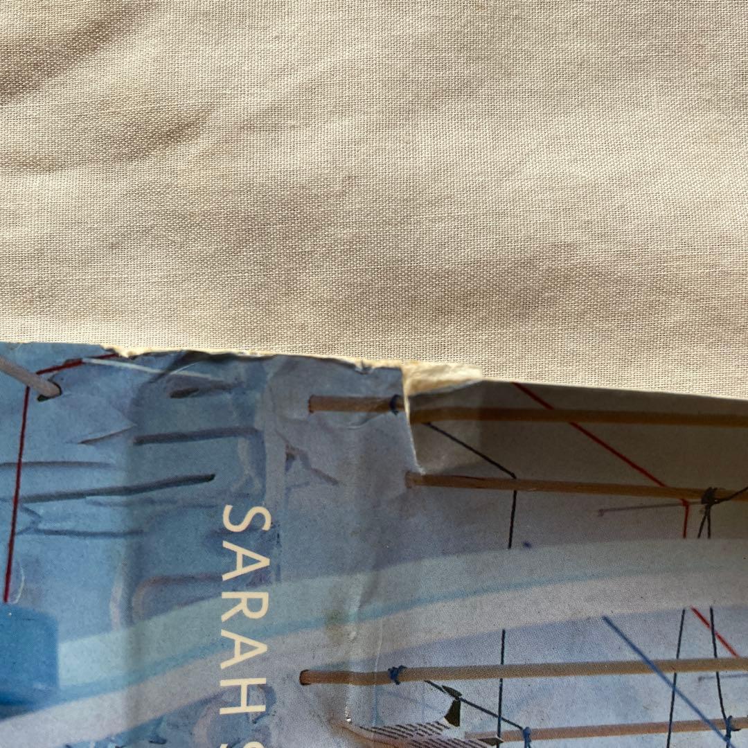 SARAH SZE 洋古書 サラ・ジー