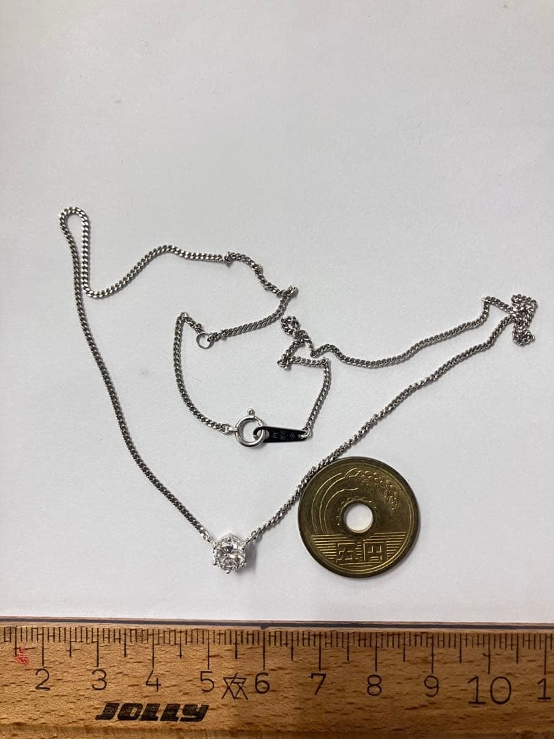 スーツプードル　