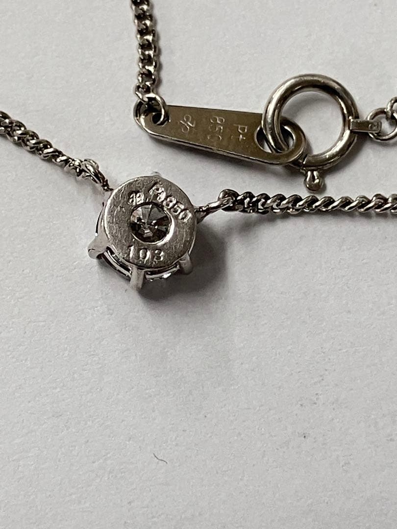 スーツプードル　