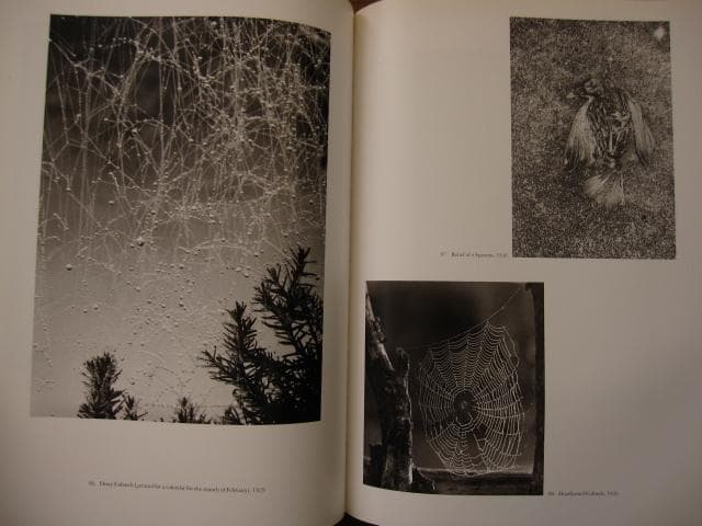 プラハの光　ヨゼフ・スデク　写真集　Josef Sudek　ヨゼフ・スデック