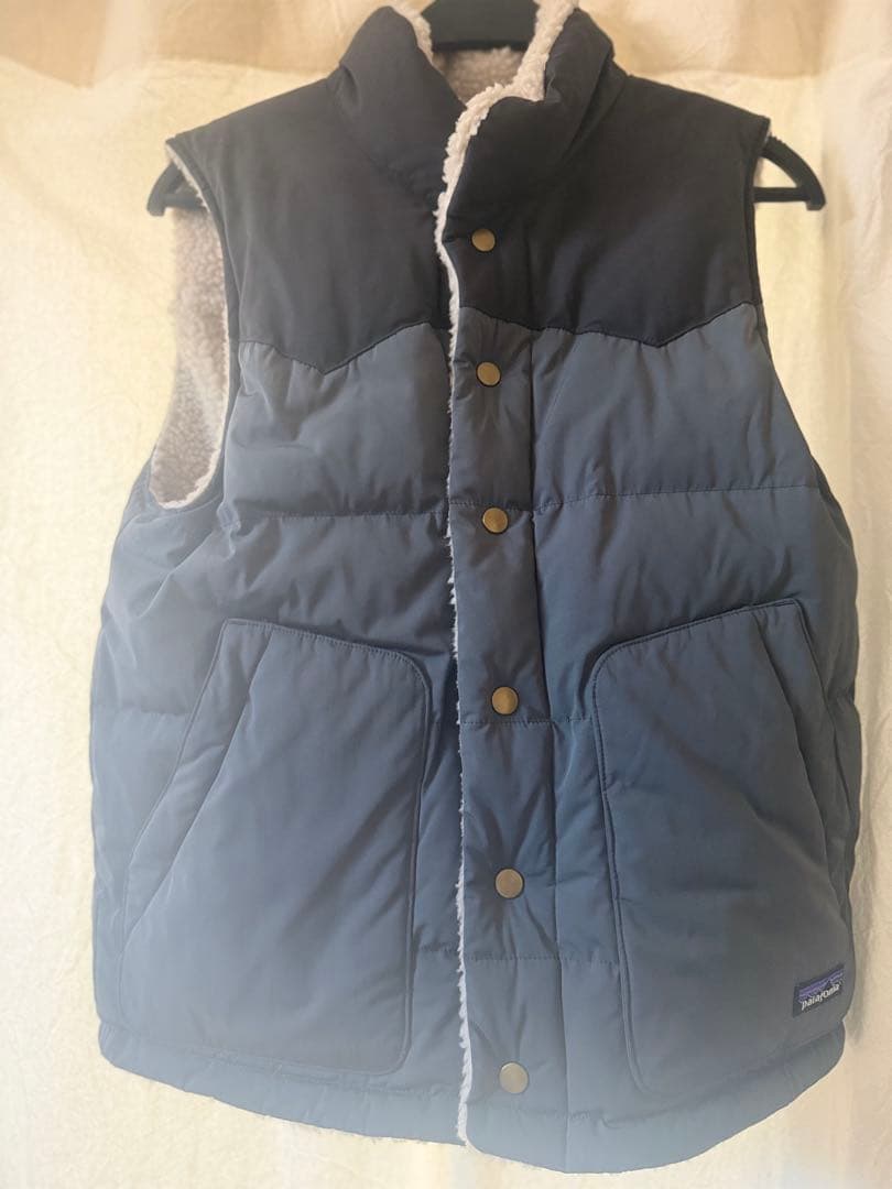 トップス patagonia Men's ReversibleBivy Down Vest