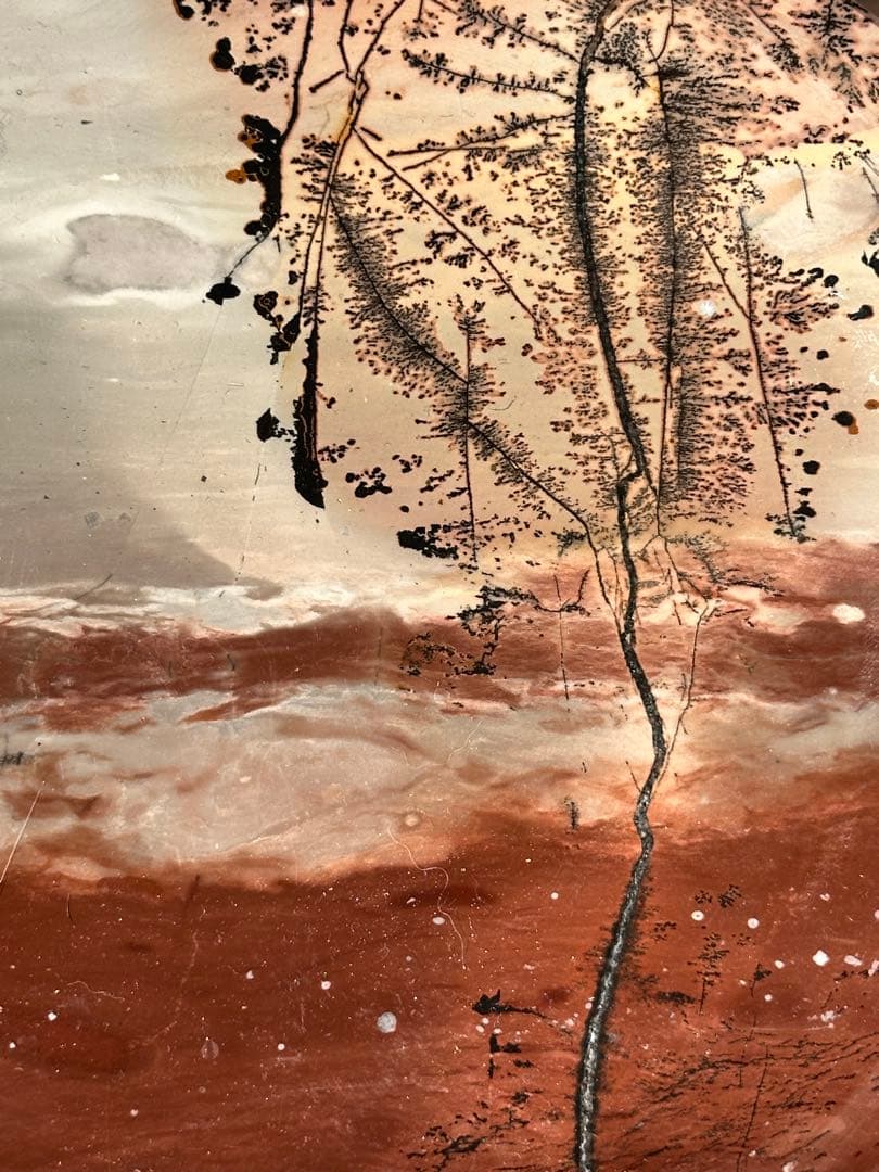 【ピクチャー ジャスパー】デンドリティック トレイ/ -One Tree-