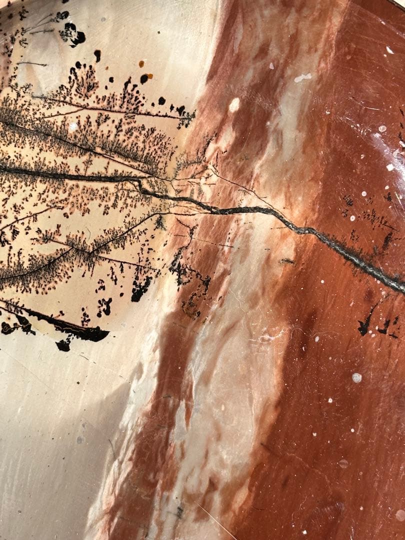 【ピクチャー ジャスパー】デンドリティック トレイ/ -One Tree-