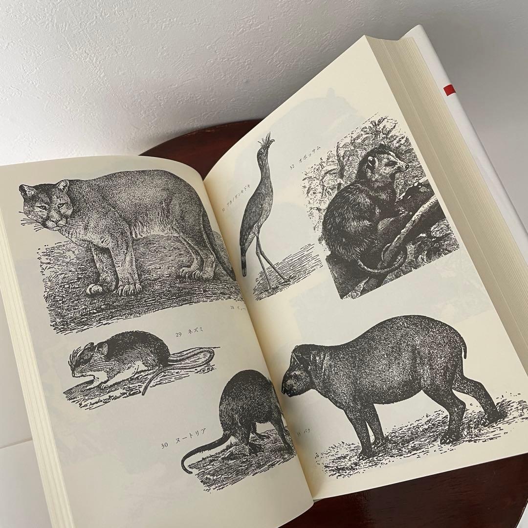 生のものと火を通したもの （神話論理 1）帯つき