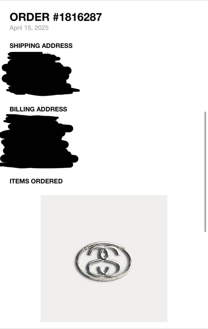 新品未使用品　STUSSYカラビナシルバー