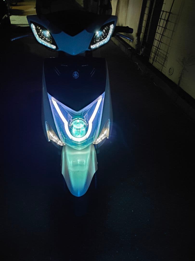 廃盤？SE44J 3型シグナスX スターナイト製？プロジェクターヘッドライト