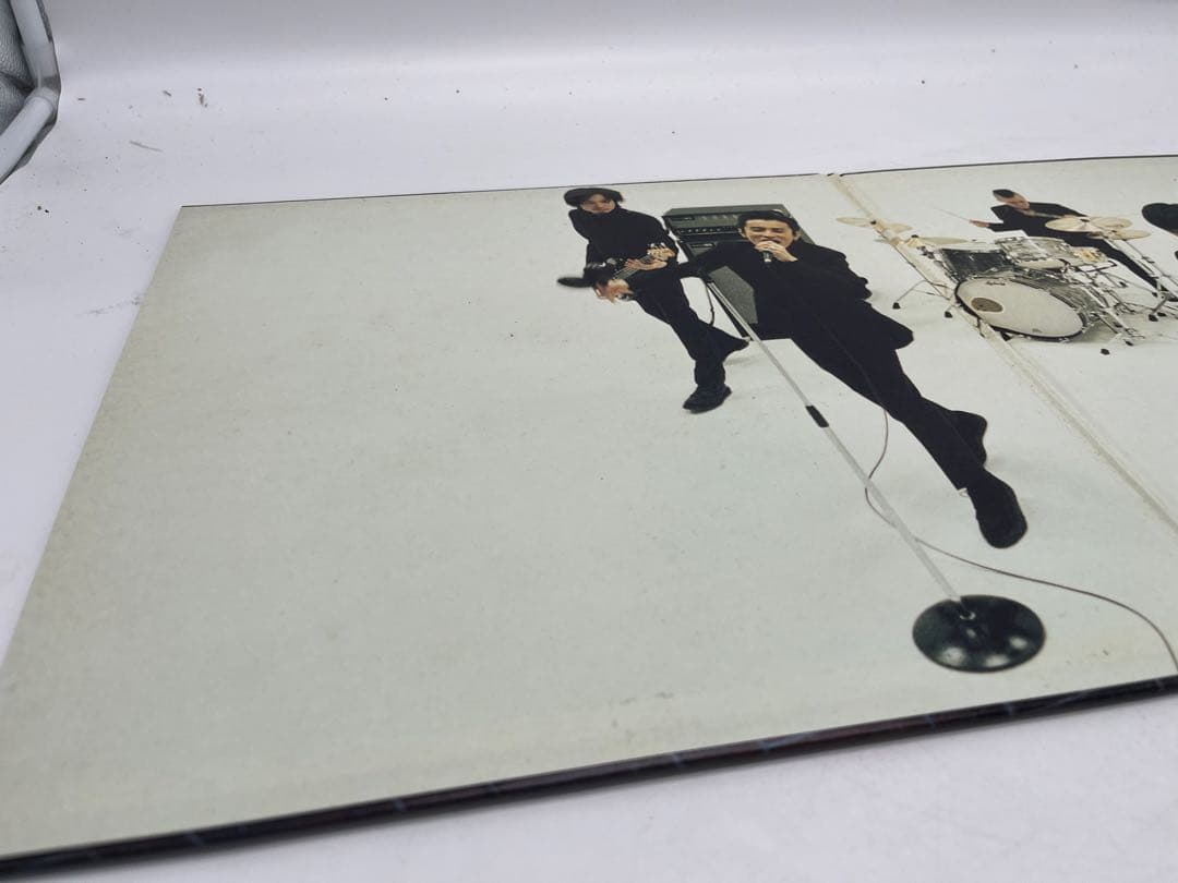 ミッシェルガンエレファント CASANOVA SNAKE レコード LP