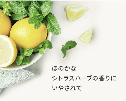 三省製薬 デルメッド ４本セット